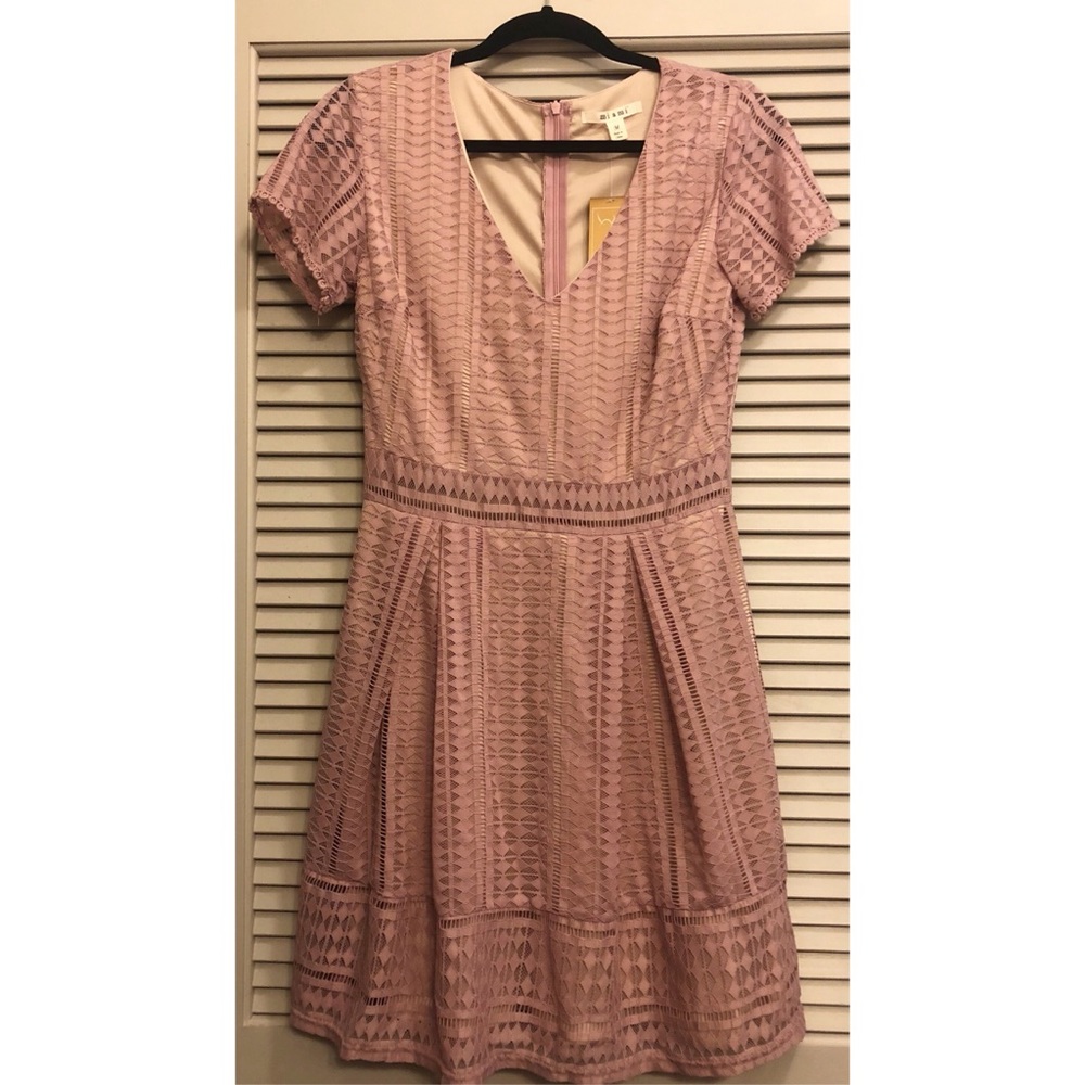 NWT! Francesca’s Miami Pale Pink Lace Dress